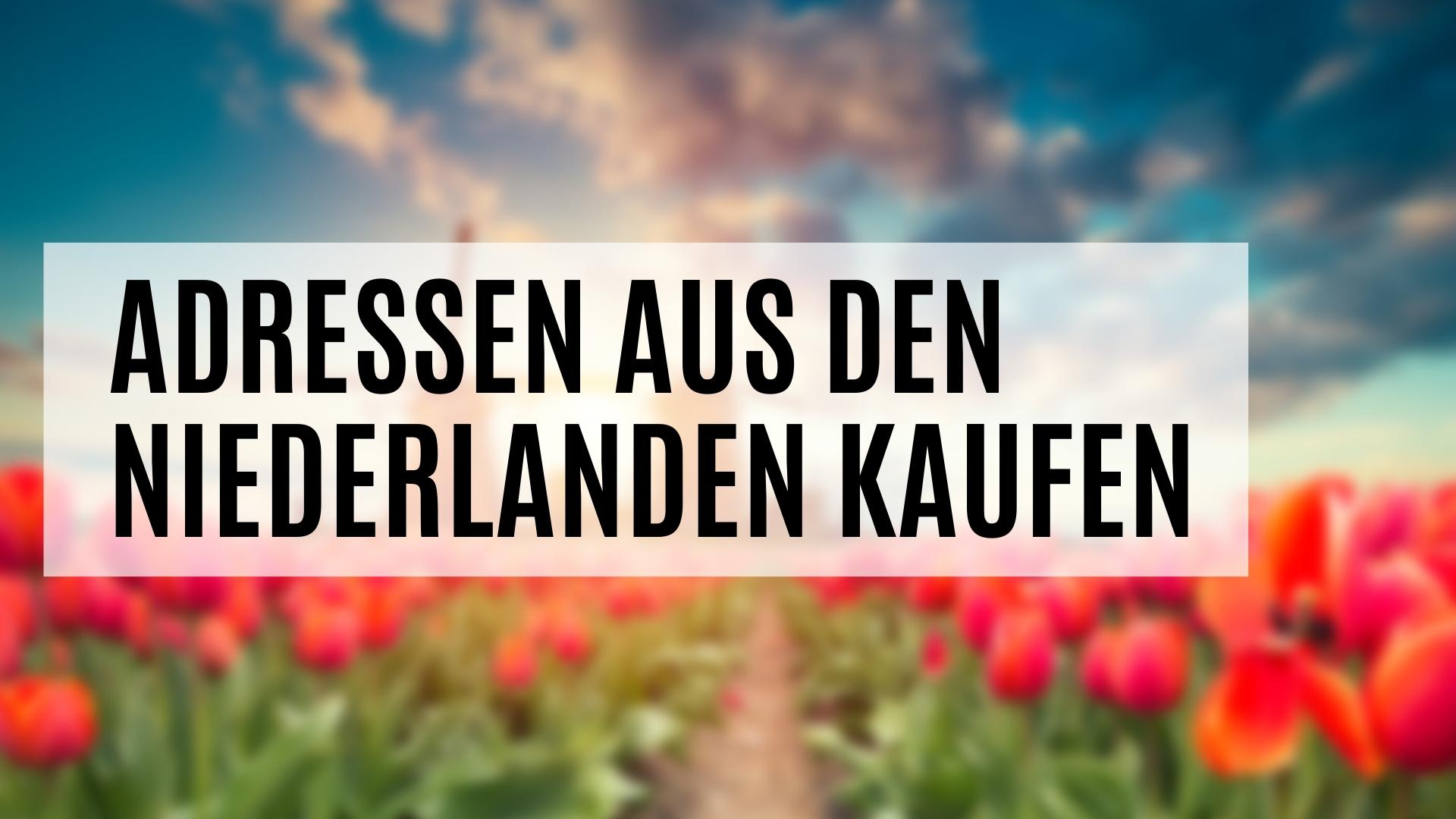 Adressen aus den Niederlanden kaufen - das müssen Sie beachten!