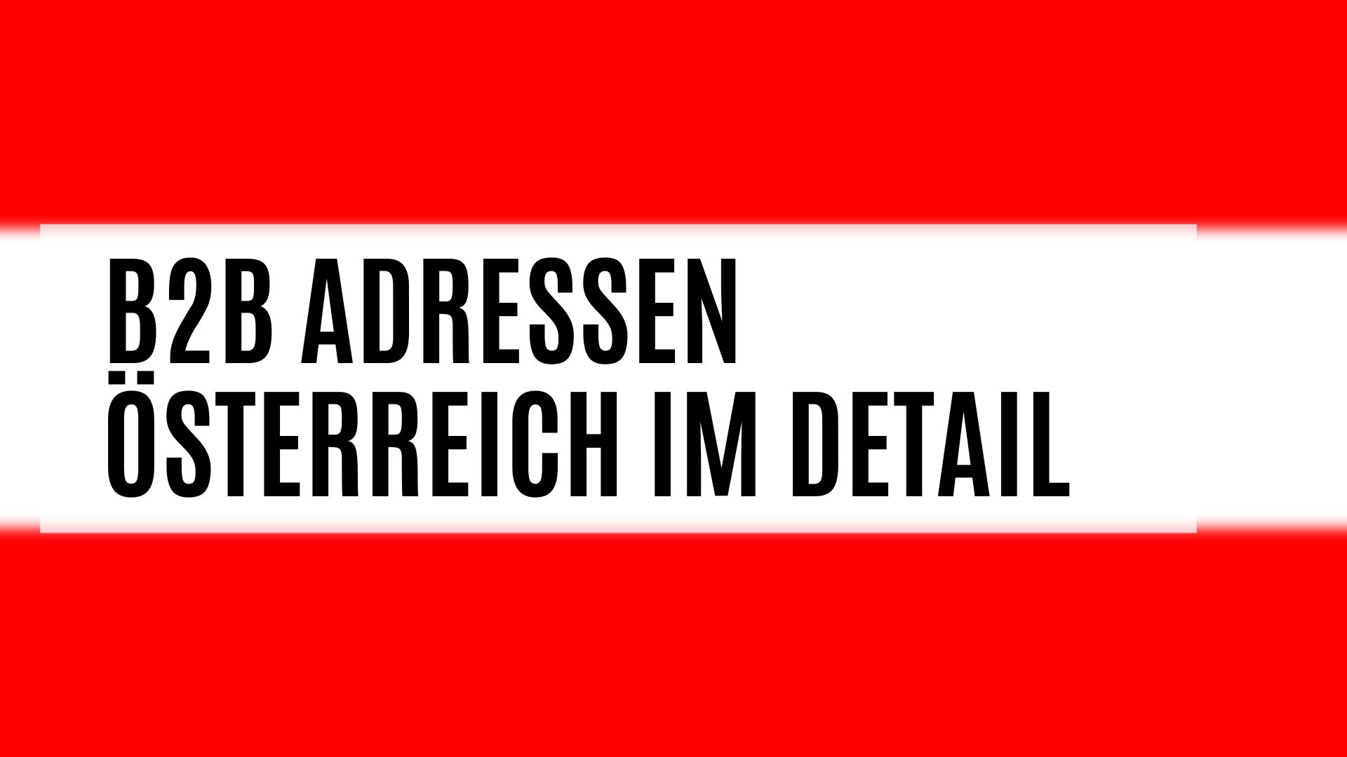 Die B2B Adressen Österreich im Detail